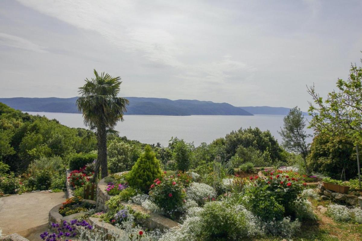 Villa Paradiso In Plomin - Istrien מראה חיצוני תמונה