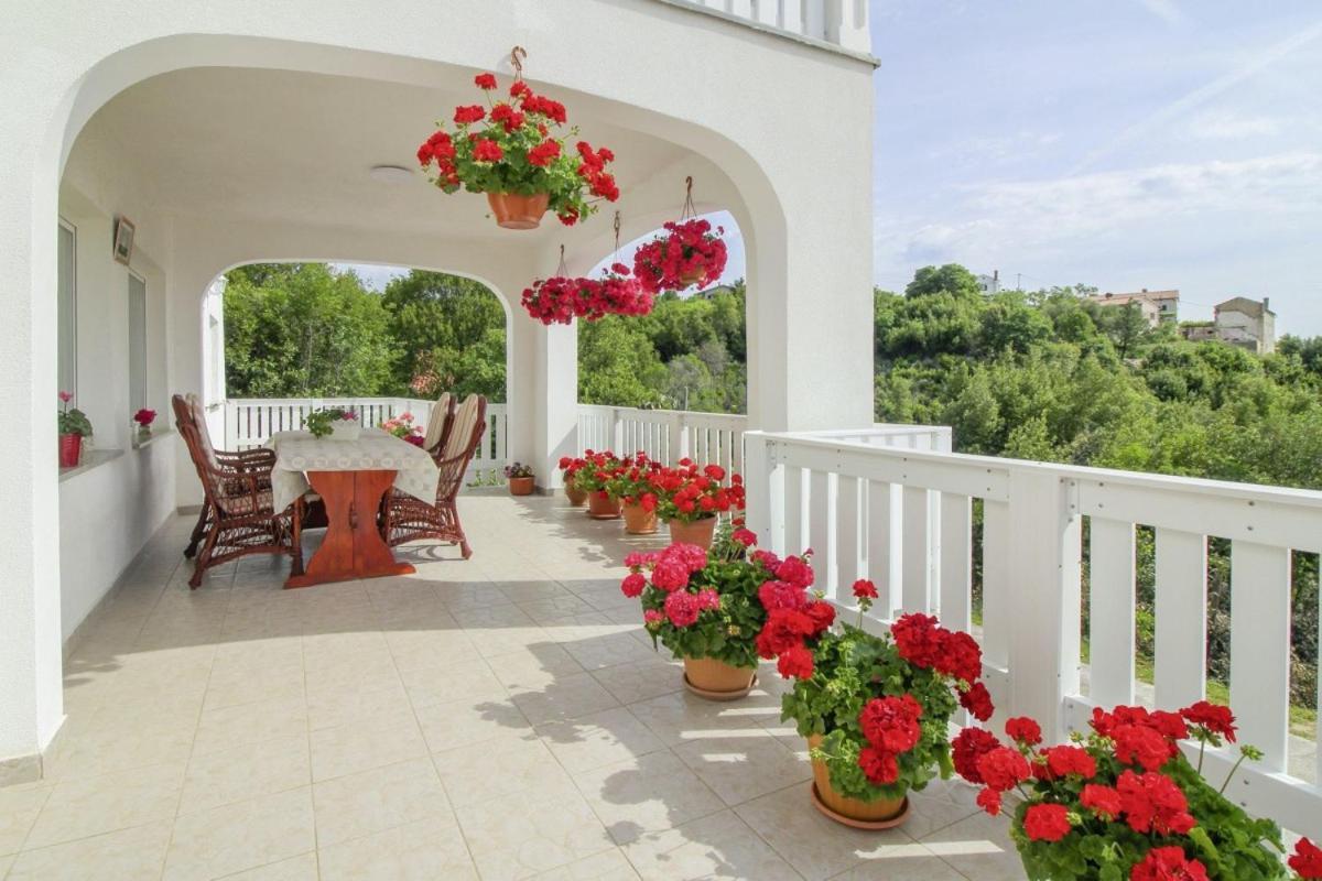 Villa Paradiso In Plomin - Istrien מראה חיצוני תמונה