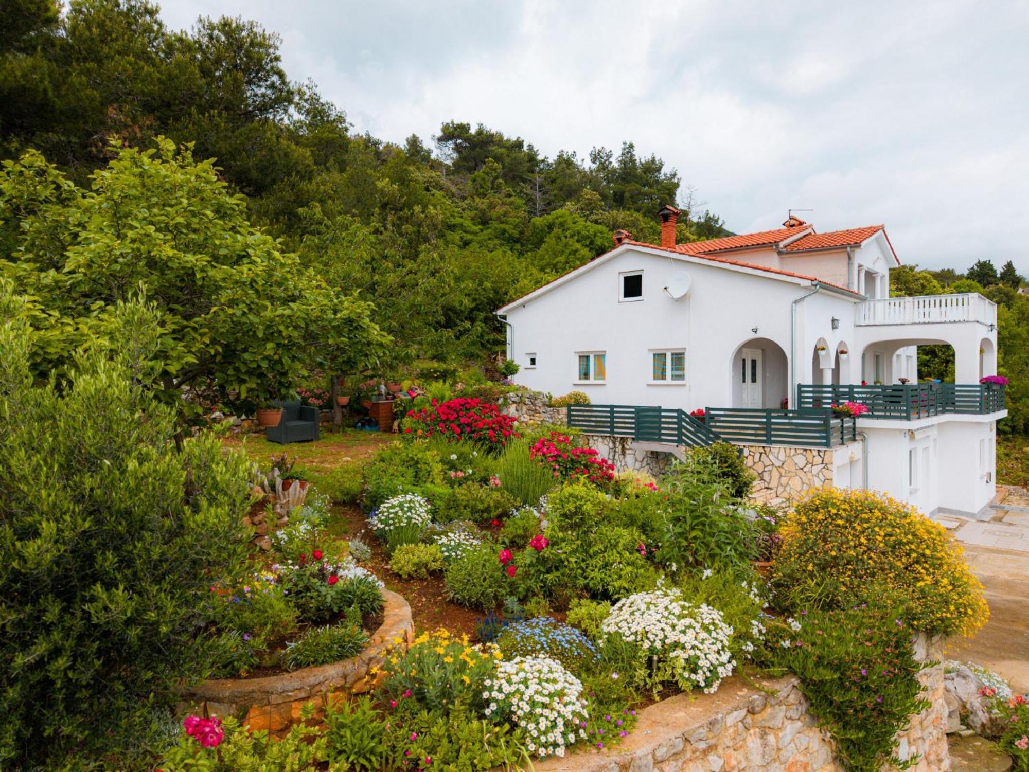 Villa Paradiso In Plomin - Istrien מראה חיצוני תמונה