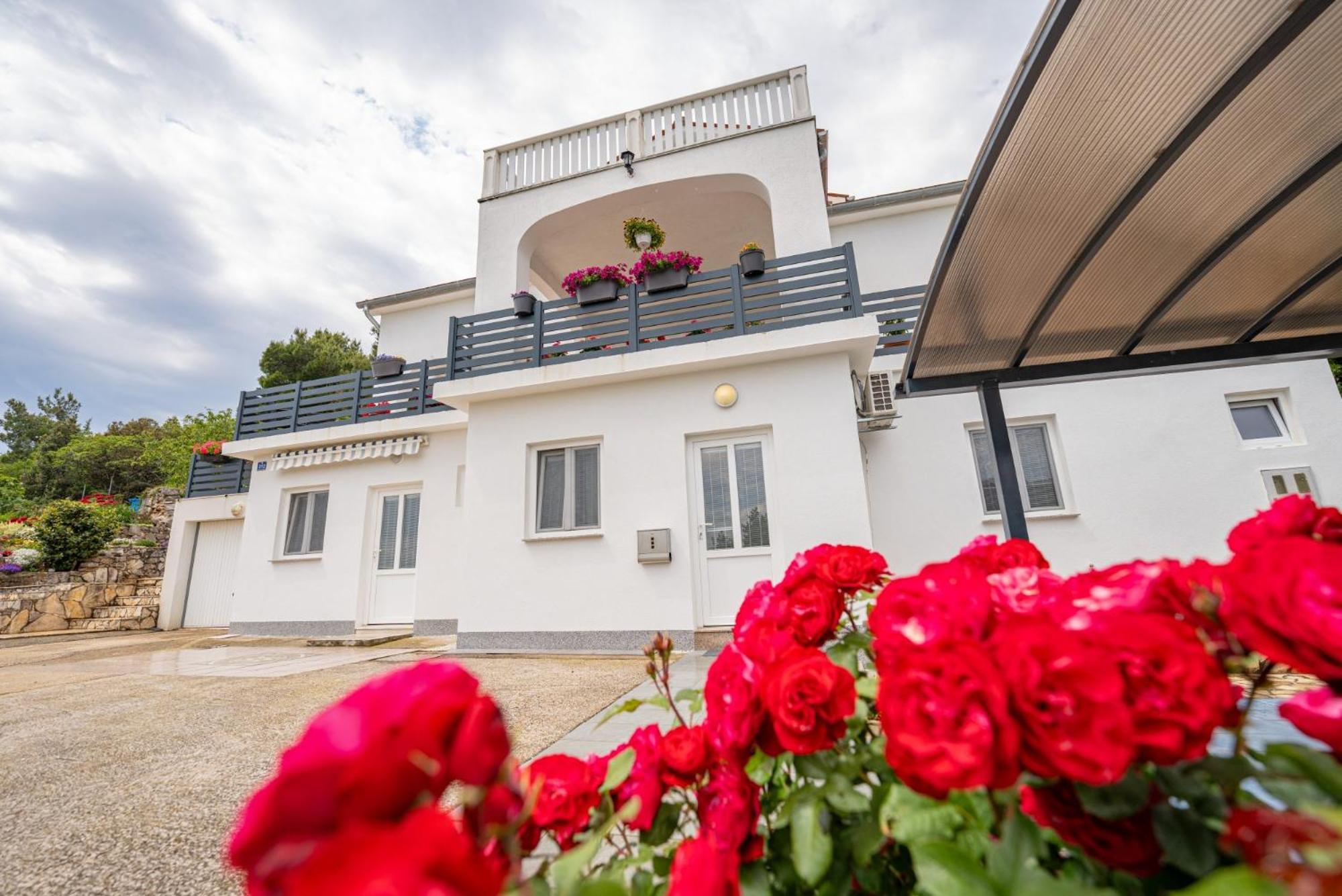 Villa Paradiso In Plomin - Istrien מראה חיצוני תמונה